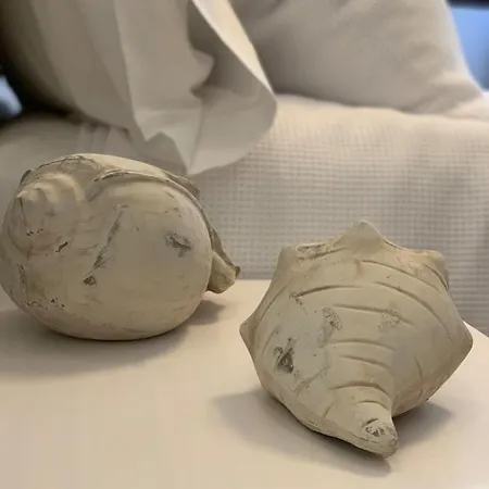 El Palomar De 컨트리하우스